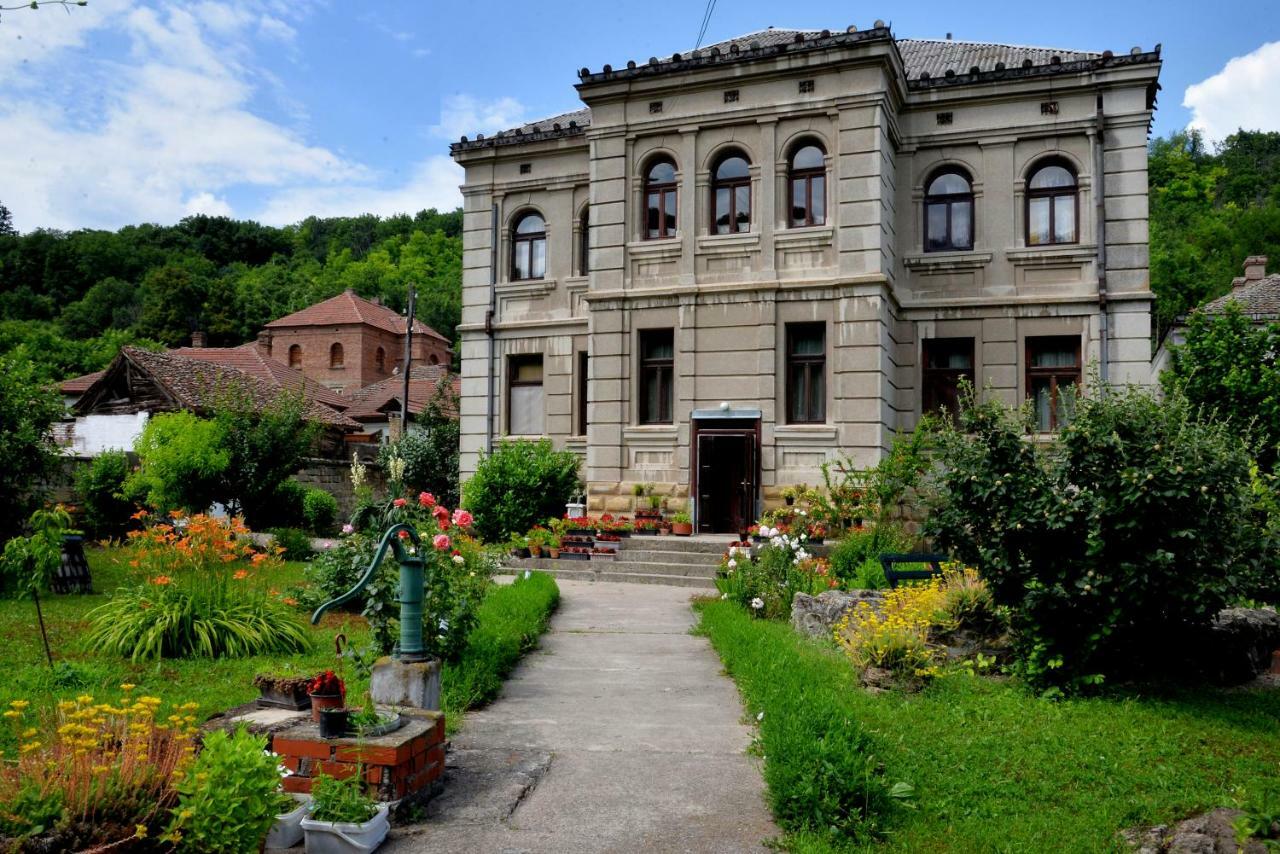 Country House Dunjin Konak Rogljevo Exterior photo